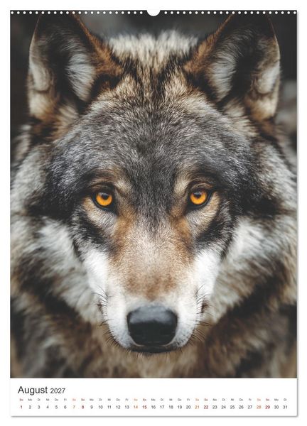 Produktbild: K&ouml;nige der Natur (hochwertiger Premium Wandkalender 2027 DIN A2 hoch), Kunstdruck in Hochglanz
