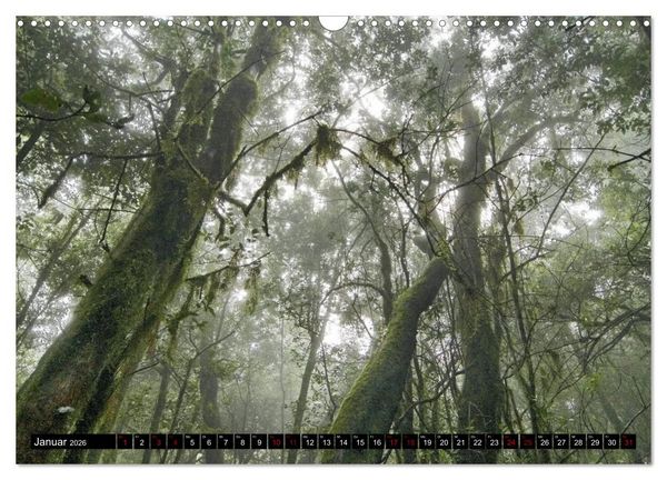 Produktbild: La Gomera - Ansichten und Aussichten (Wandkalender 2026 DIN A3 quer), CALVENDO Monatskalender