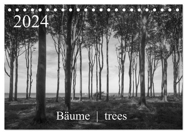 Bäume trees 2024 (Tischkalender 2024 DIN A5 quer), CALVENDO Monatskalender