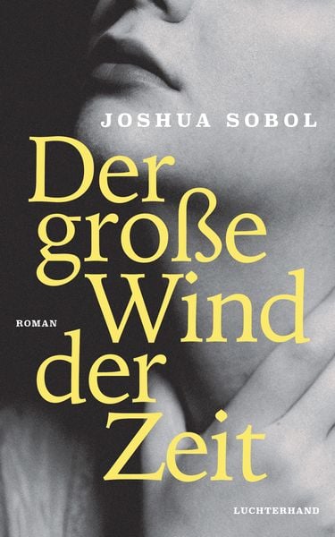Produktbild: Der große Wind der Zeit