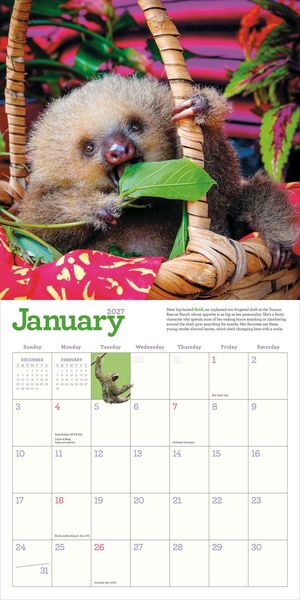 Produktbild: Original Sloths Wall Calendar 2027