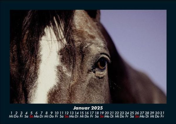 Produktbild: Pferdegefl&uuml;ster 2025 Fotokalender DIN A5