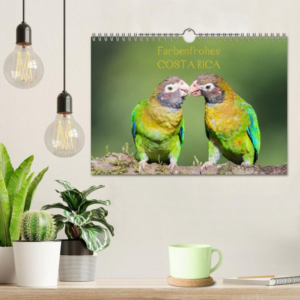 Produktbild: Farbenfrohes Costa Rica (Wandkalender 2026 DIN A4 quer), CALVENDO Monatskalender