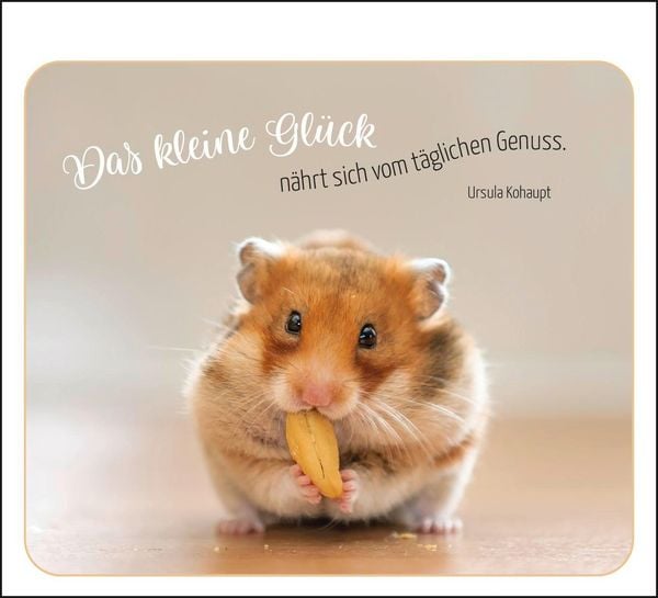 Produktbild: Ich denk ganz fest an dich