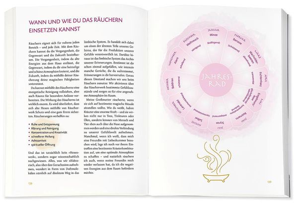 Produktbild: Die Hexenschule