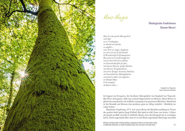 Produktbild: Der Moosgarten
