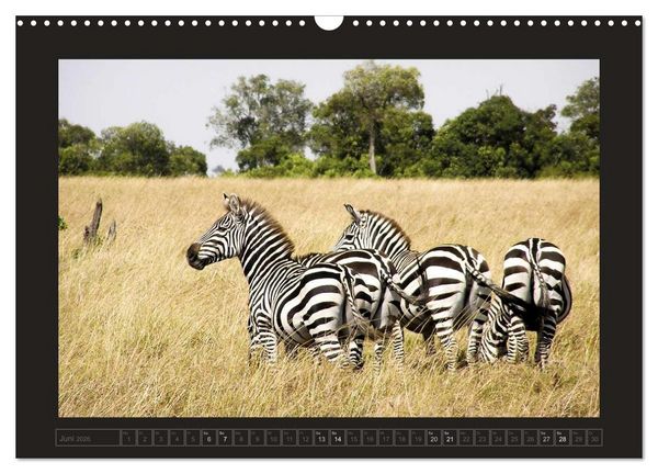 Produktbild: Kenia (Wandkalender 2026 DIN A3 quer), CALVENDO Monatskalender