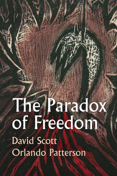 Produktbild: The Paradox of Freedom