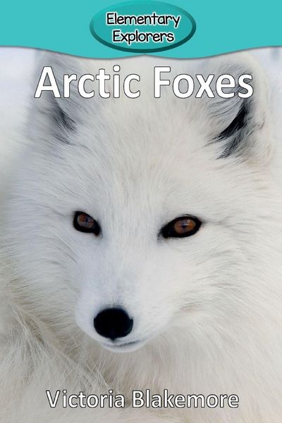 Produktbild: Arctic Foxes