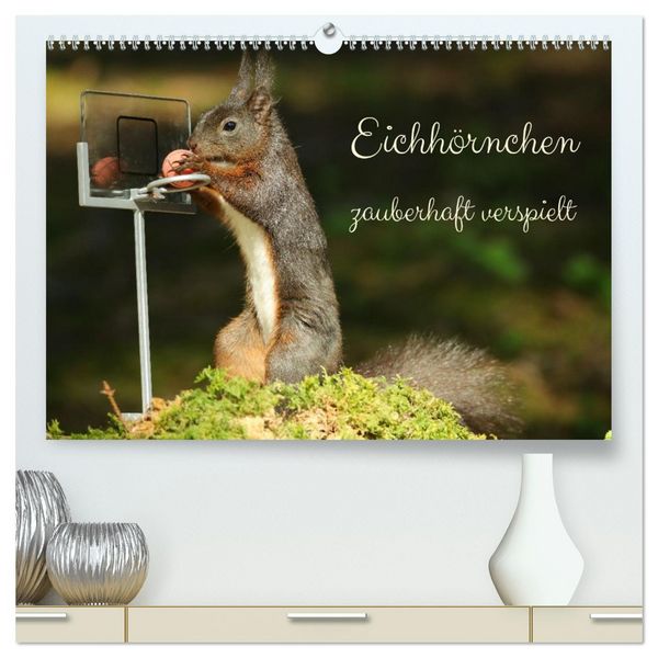 Eichhörnchen - zauberhaft verspielt (hochwertiger Premium Wandkalender 2026 DIN A2 quer), Kunstdruck in Hochglanz