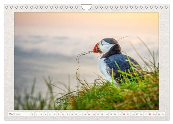 Produktbild: Die kleinen sch&ouml;nen (Wandkalender 2026 DIN A4 quer), CALVENDO Monatskalender