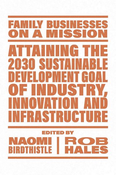 Produktbild: Attaining the 2030 Sustainable Development Goal of Industry, Innovation and Infrastructure