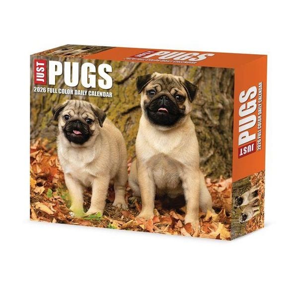 Produktbild: Just Pugs 2026 Box Calendar