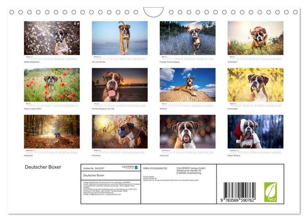 Produktbild: Deutscher Boxer (Wandkalender 2027 DIN A4 quer), CALVENDO Monatskalender