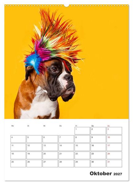 Produktbild: colorful world of boxer 2027 (Wandkalender 2027 DIN A2 hoch), CALVENDO Monatskalender