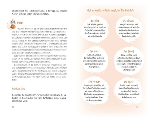 Produktbild: Nachwehen