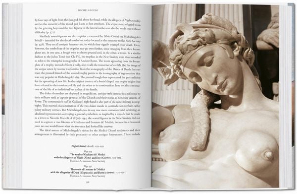 Produktbild: Michelangelo. Das vollständige Werk. Malerei, Skulptur, Architektur