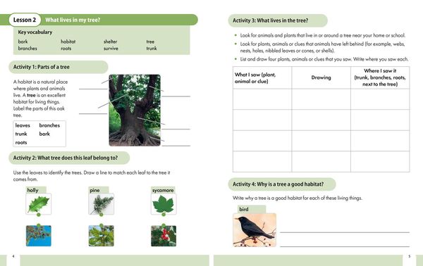 Produktbild: Snap Science 2nd Edition - Snap Science Pupil Workbook