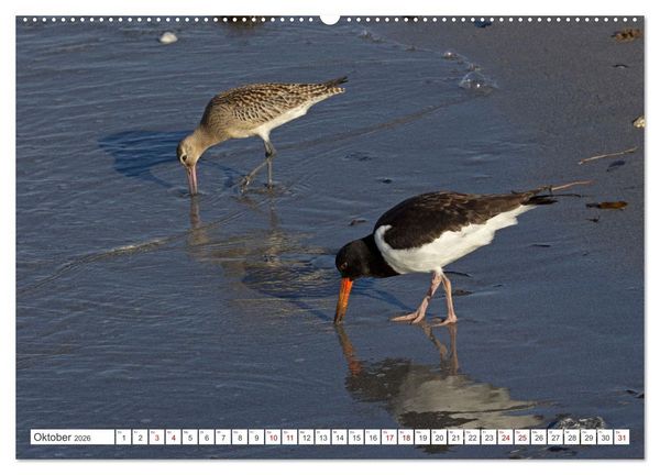 Produktbild: Helgoland - Hochseeinsel in der Nordsee (hochwertiger Premium Wandkalender 2026 DIN A2 quer), Kunstdruck in Hochglanz