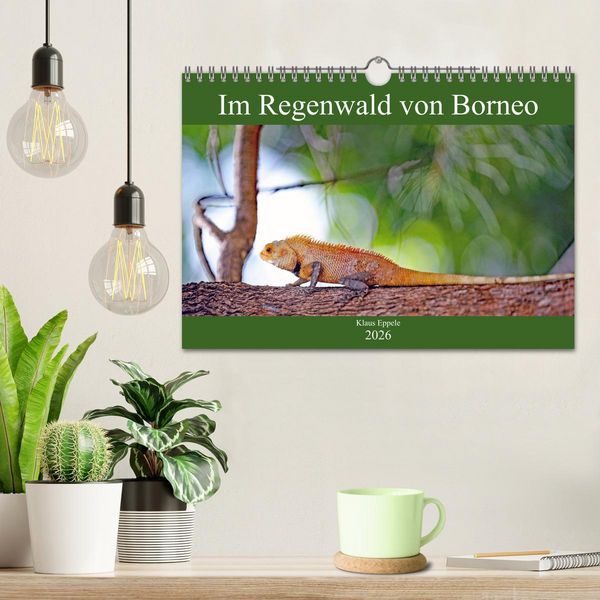 Produktbild: Im Regenwald von Borneo (Wandkalender 2026 DIN A4 quer), CALVENDO Monatskalender