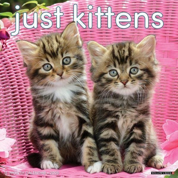 Produktbild: Kittens 2026 12 X 12 Wall Calendar