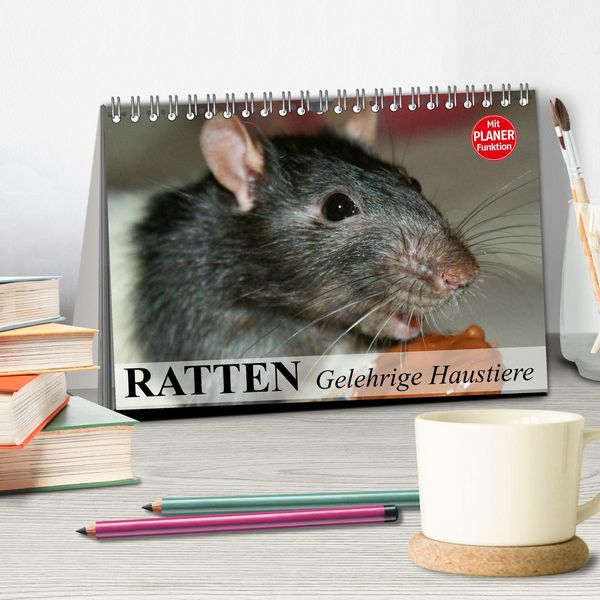 Produktbild: Ratten. Gelehrige Haustiere (Tischkalender 2026 DIN A5 quer), CALVENDO Monatskalender