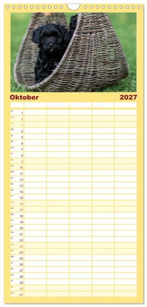 Produktbild: Familienplaner 2027 - Maltipoo Welpen mit 5 Spalten (Wandkalender, 21 x 45 cm) CALVENDO
