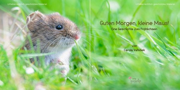Produktbild: Guten Morgen, kleine Maus!