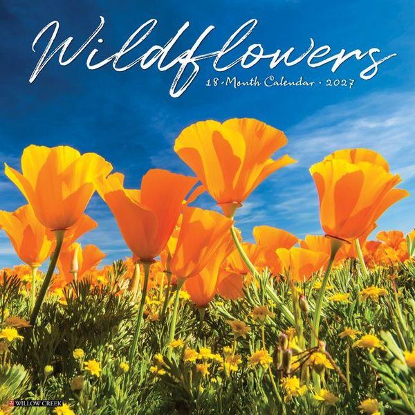 Produktbild: Wildflowers 2027 12 X 12 Wall Calendar
