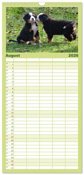 Produktbild: Familienplaner 2026 - Rasselbande mit 40 Pfoten mit 5 Spalten (Wandkalender, 21 x 45 cm) CALVENDO