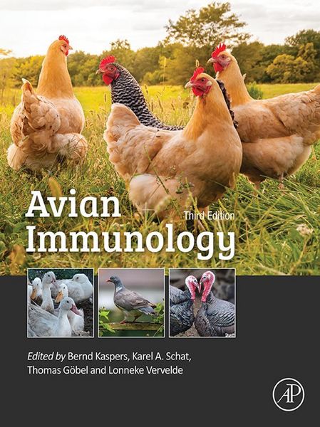 Produktbild: Avian Immunology