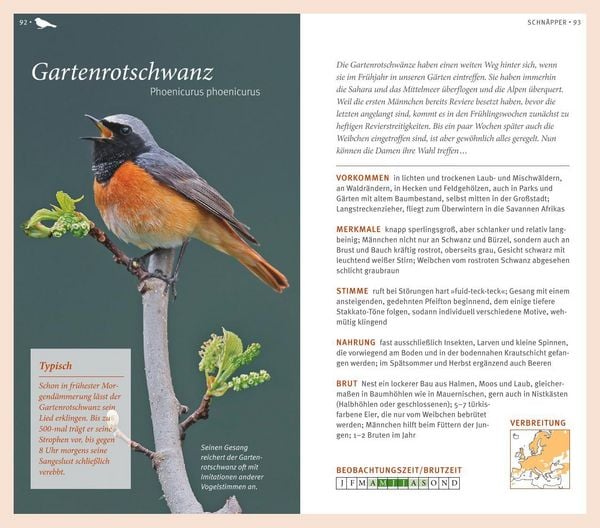 Produktbild: Gartenv&ouml;gel