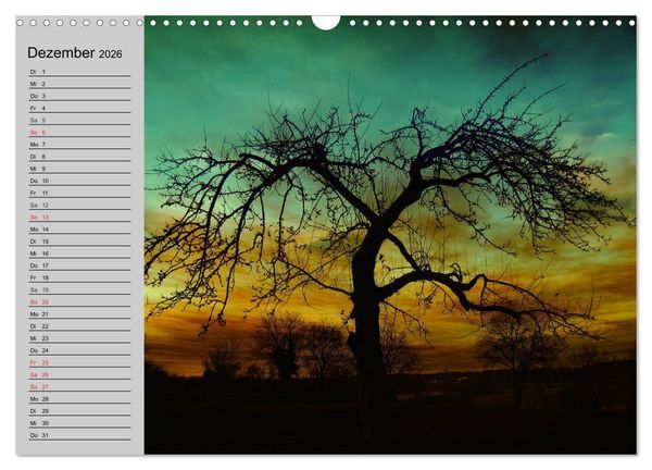 Produktbild: Magische B&auml;ume (Wandkalender 2026 DIN A3 quer), CALVENDO Monatskalender