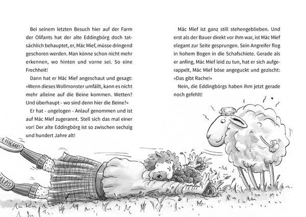 Produktbild: Mäc Mief und die stinkbesonderen Unterhosen / Mäc Mief Bd. 1