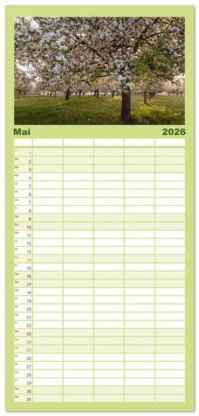 Produktbild: Familienplaner 2026 - Kanton Thurgau mit 5 Spalten (Wandkalender, 21 x 45 cm) CALVENDO