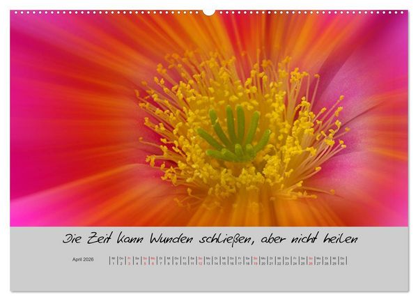 Produktbild: Kleine und gro&szlig;e Wahrheiten - Spr&uuml;che zum Nachdenken (hochwertiger Premium Wandkalender 2026 DIN A2 quer), Kunstdruck in Hochglanz