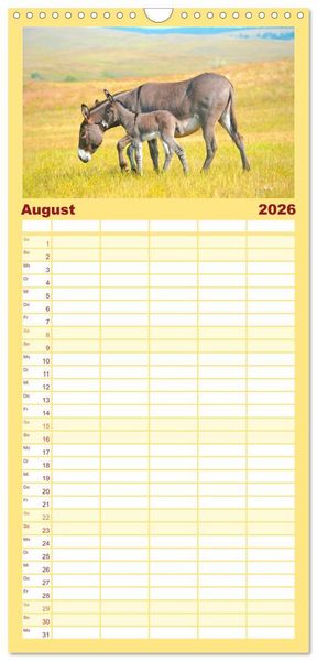 Produktbild: Familienplaner 2026 - Esel - h&uuml;bsch, klug und flei&szlig;ig mit 5 Spalten (Wandkalender, 21 x 45 cm) CALVENDO