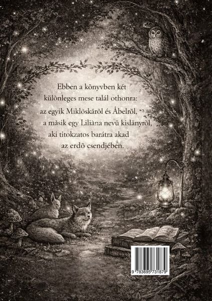Produktbild: Amikor a csend mes&eacute;l