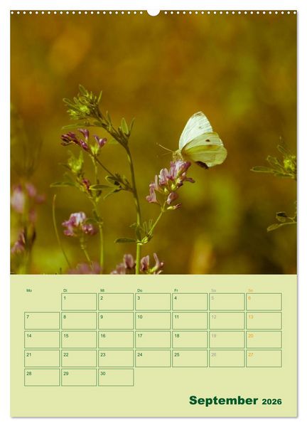Produktbild: Wald- und Wiesenkalender 2026 Planer (Wandkalender 2026 DIN A2 hoch), CALVENDO Monatskalender