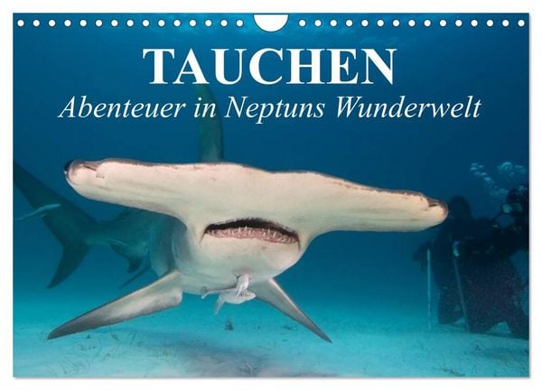 Produktbild: Tauchen - Abenteuer in Neptuns Wunderwelt (Wandkalender 2026 DIN A4 quer), CALVENDO Monatskalender