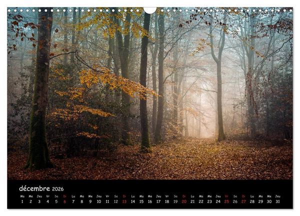 Produktbild: BROCELIANDE, la for&ecirc;t (Calendrier mural 2026 DIN A3 vertical), CALVENDO calendrier mensuel