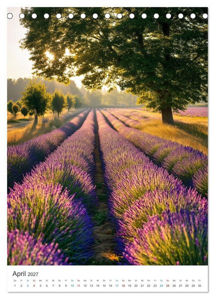 Produktbild: Der Sommer bl&uuml;ht violett (Tischkalender 2027 DIN A5 hoch), CALVENDO Monatskalender
