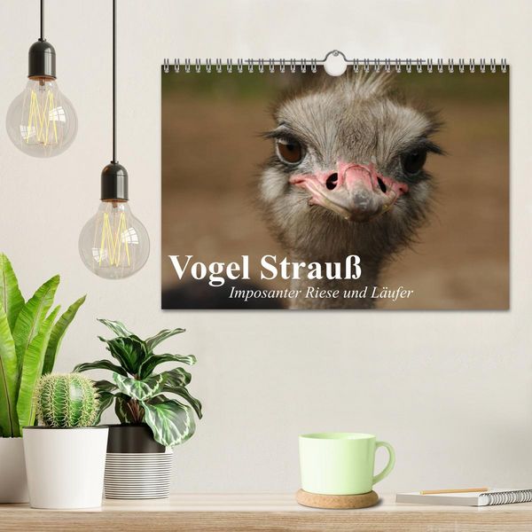 Produktbild: Vogel Strau&szlig;. Imposanter Riese und L&auml;ufer (Wandkalender 2026 DIN A4 quer), CALVENDO Monatskalender