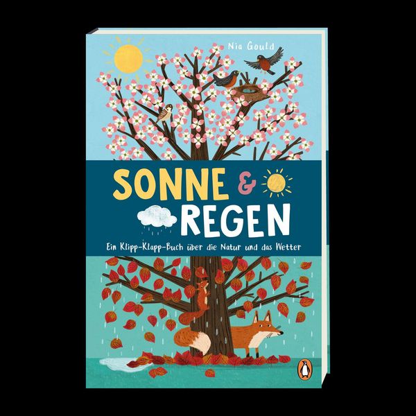 Produktbild: Sonne & Regen - Ein Klipp-Klapp-Buch &uuml;ber die Natur und das Wetter