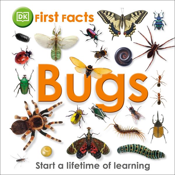 Produktbild: First Facts Bugs
