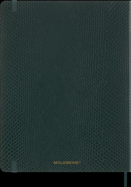 Produktbild: Moleskine Vegea Boa Notizbuch, XL, liniert, weicher Einband, gr&uuml;n, in Box