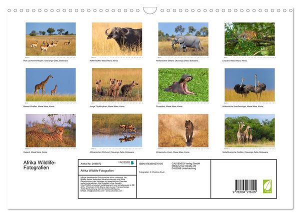 Produktbild: Afrika Wildlife-Fotografien (Wandkalender 2027 DIN A3 quer), CALVENDO Monatskalender
