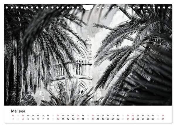 Produktbild: Silberstein portr&auml;tiert Palermo (Wandkalender 2026 DIN A4 quer), CALVENDO Monatskalender