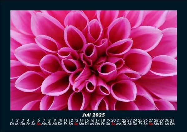Produktbild: Blumentr&auml;ume 2025 Fotokalender DIN A5