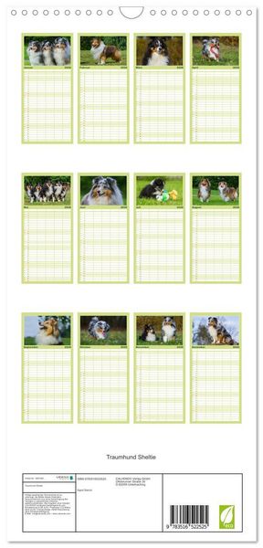 Produktbild: Familienplaner 2026 - Traumhund Sheltie mit 5 Spalten (Wandkalender, 21 x 45 cm) CALVENDO
